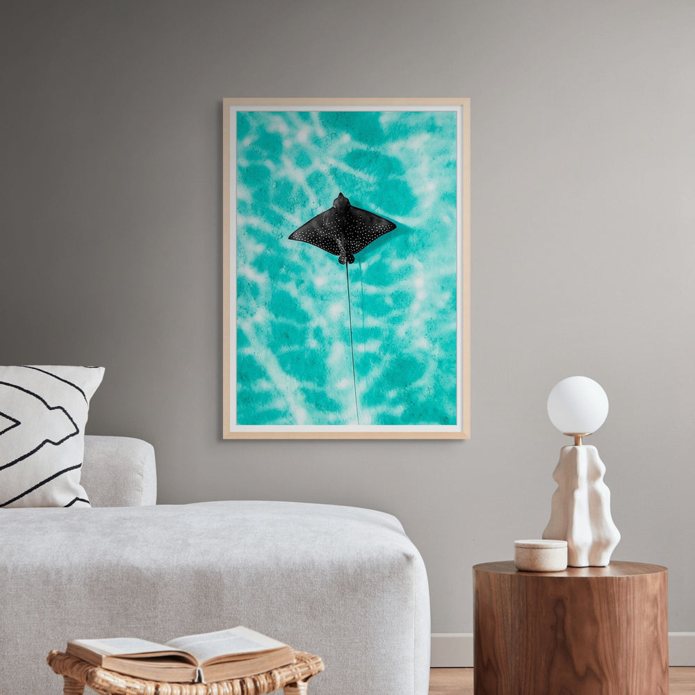 Turquoise Tranquility by David Lloyd – eagle ray gliding in turquoise ocean, overhead marine life photography print framed in oak