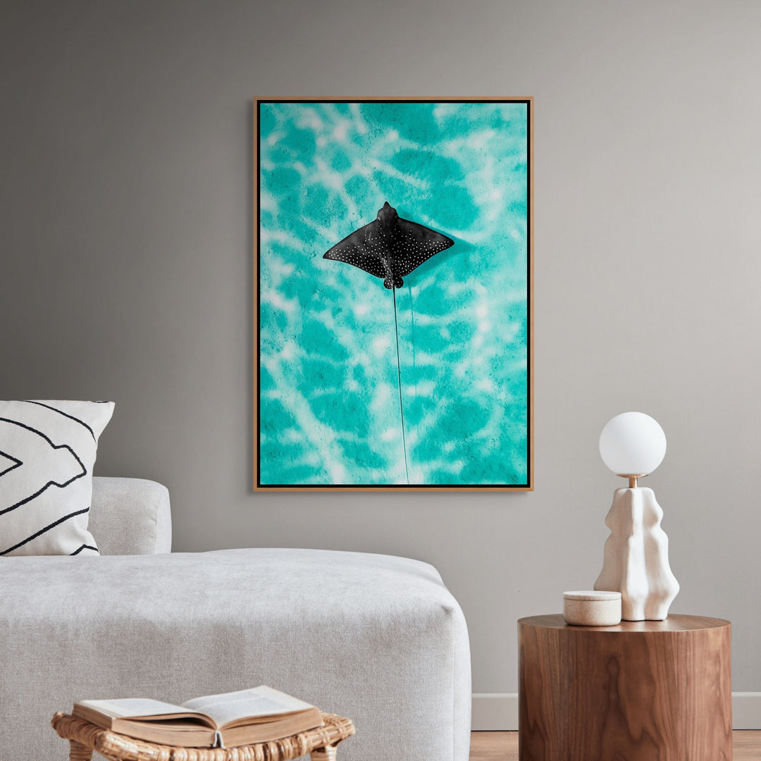 Turquoise Tranquility by David Lloyd – eagle ray gliding in turquoise ocean, overhead marine life photography canvas print framed in oak
