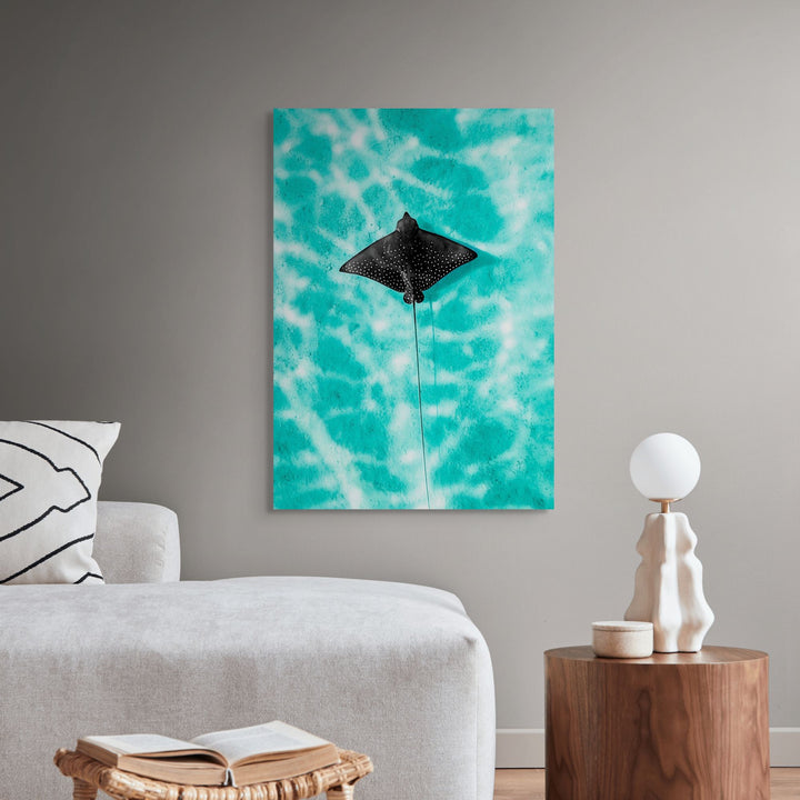Turquoise Tranquility by David Lloyd – eagle ray gliding in turquoise ocean, overhead marine life photography print stretched canvas wall art