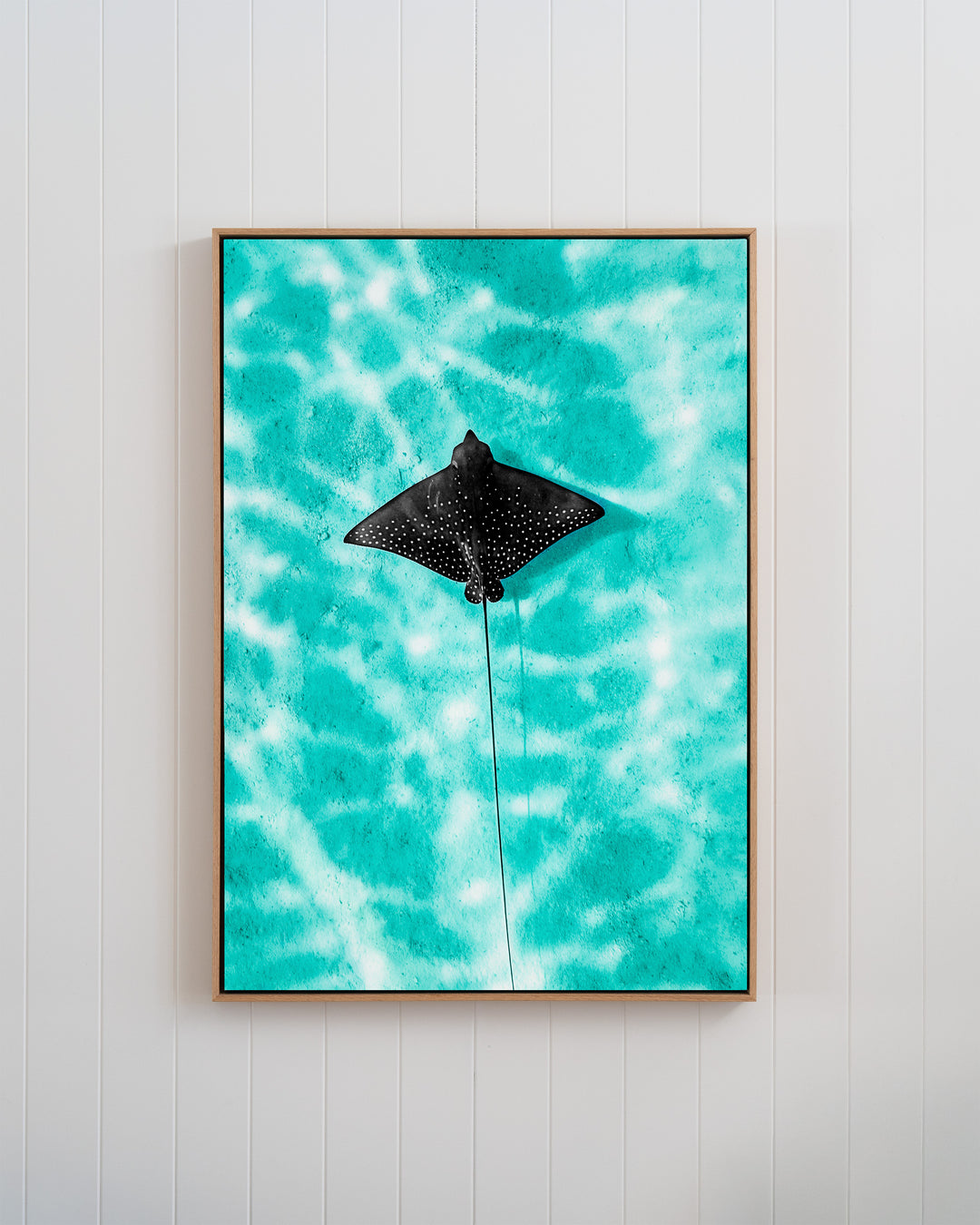 Turquoise Tranquility - Eagle Ray | Underwater Photography