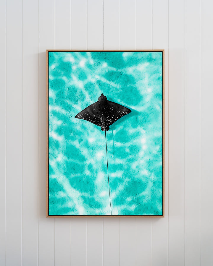 Turquoise Tranquility - Eagle Ray | Underwater Photography