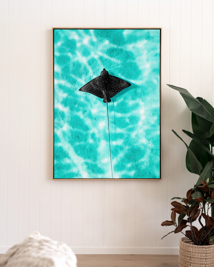 Turquoise Tranquility – Eagle Ray, Underwater Photography by David Lloyd, framed canvas print in oak float frame, styled in a living room setting