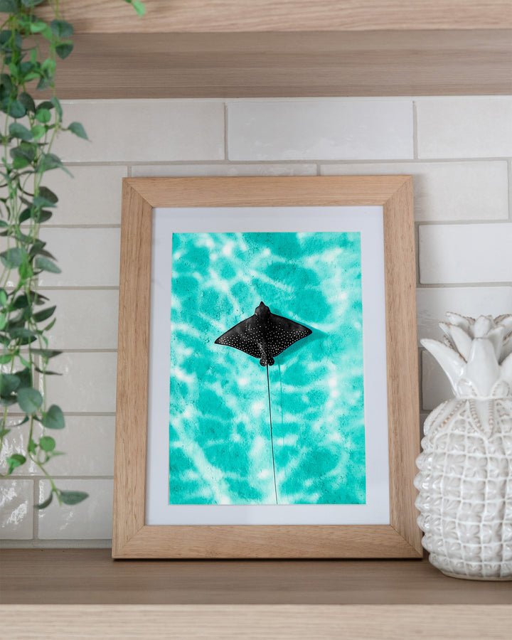 Turquoise Tranquility – Eagle Ray, Underwater Photography by David Lloyd, framed paper print in oak frame, styled in a kitchen shelf setting