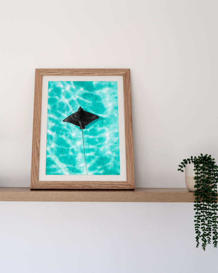 Turquoise Tranquility – Eagle Ray, Underwater Photography by David Lloyd, framed paper print in oak frame, styled in a timber shelf setting