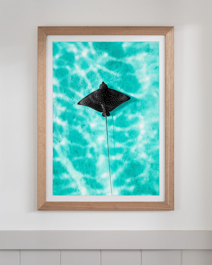 Turquoise Tranquility - Eagle Ray | Underwater Photography