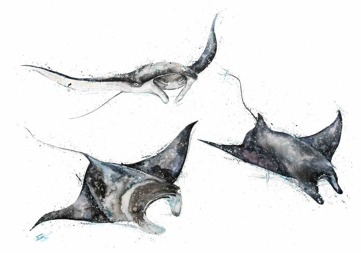 Unchained Melody by Stephanie Elizabeth – unframed rolled paper print of manta rays gliding, ocean-inspired fine art marine print
