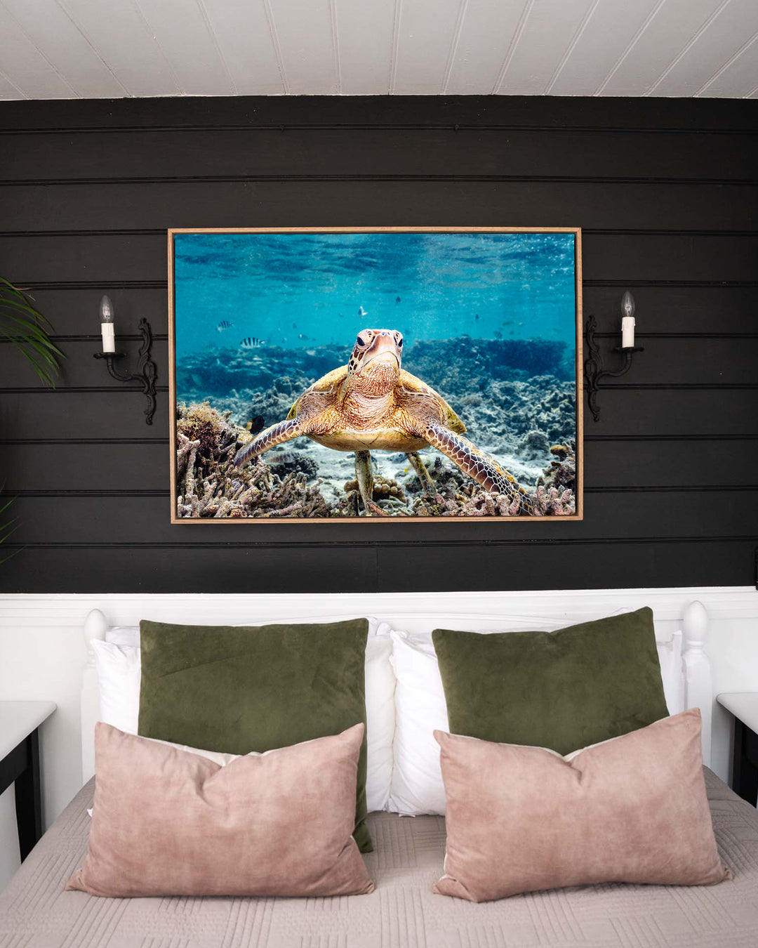 What Are You Looking At? – Green Sea Turtle, Underwater Photography by David Lloyd, framed canvas print in oak float frame, styled in a bedroom setting