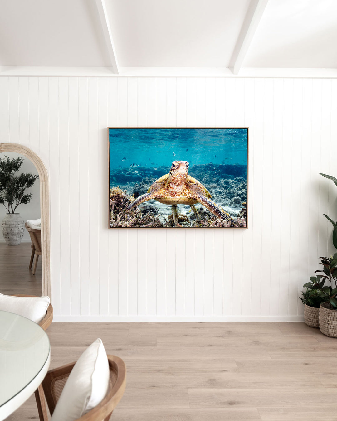 What Are You Looking At? – Green Sea Turtle, Underwater Photography by David Lloyd, framed canvas print in oak float frame, styled in a dining room setting