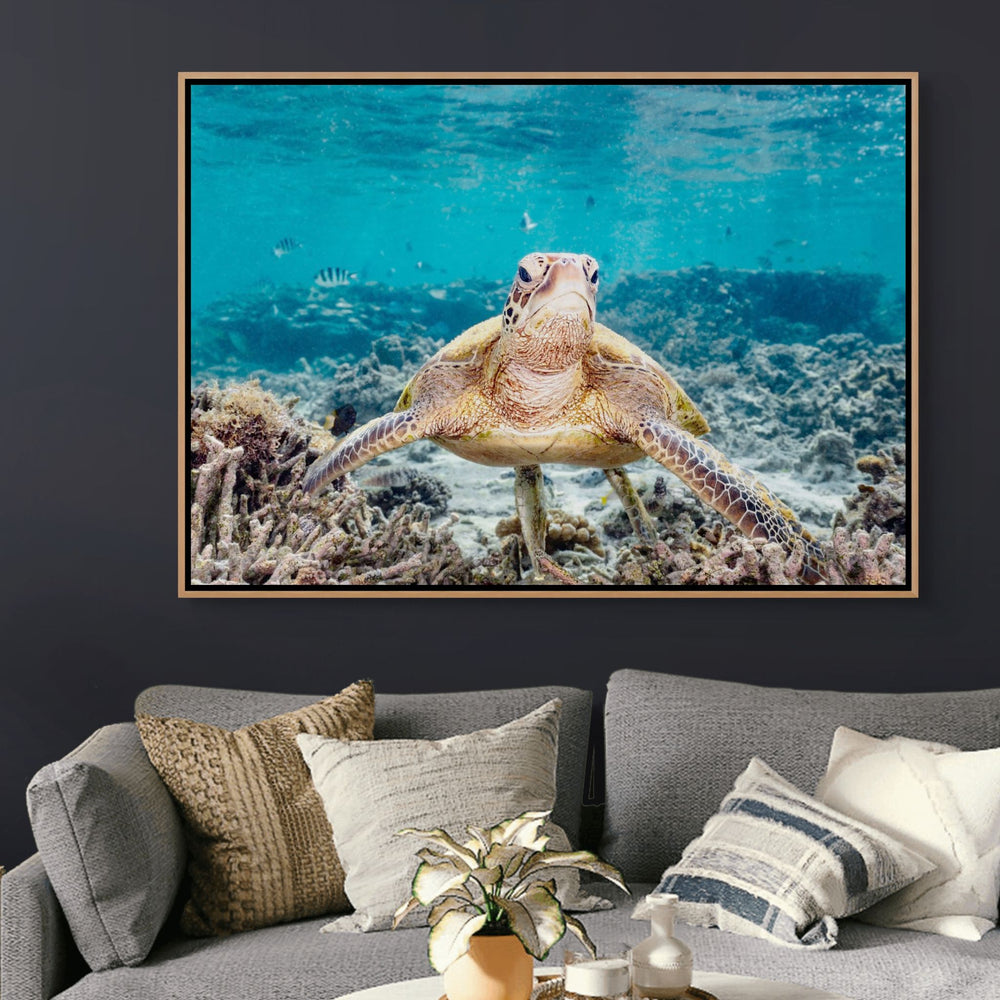 What Are You Looking At? – Grumpy green sea turtle with yellow markings, bright blue water, fish and coral | Shadow Box Canvas Print