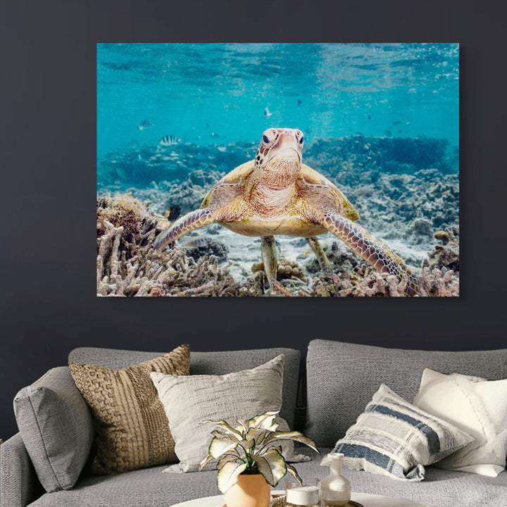 What Are You Looking At? – Grumpy green sea turtle with yellow markings, bright blue water, fish and coral | Stretched Canvas Print