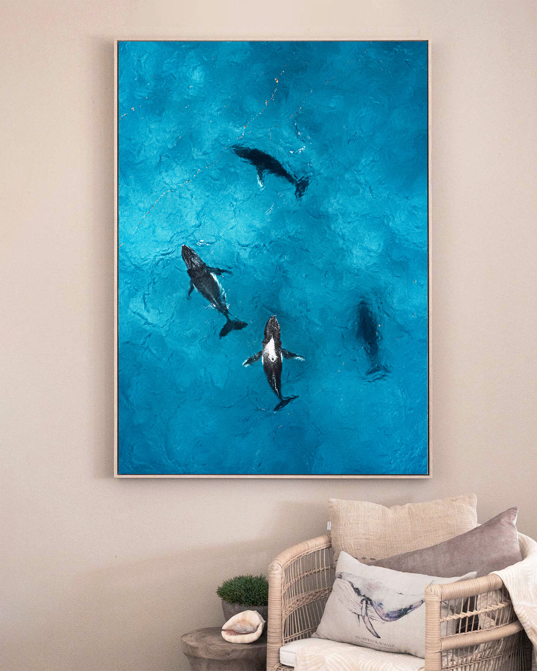 Whirlpool – Humpback Whales, Aerial Photography by David Lloyd, framed canvas print in oak float frame, styled in a sitting room setting