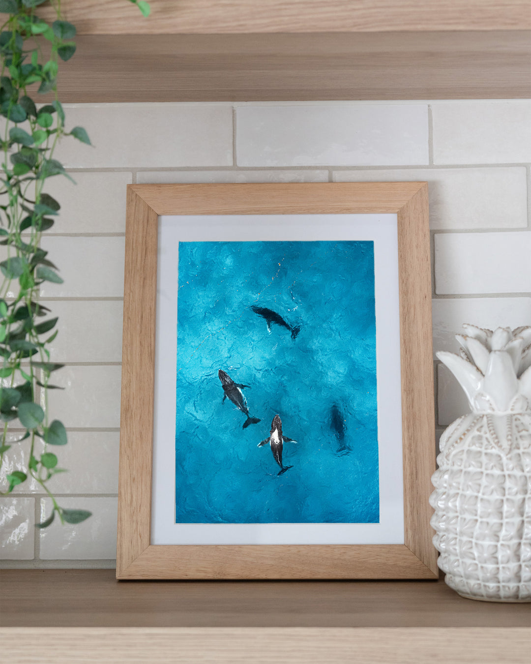 Whirlpool – Humpback Whales, Aerial Photography by David Lloyd, framed paper print in oak frame, styled in a kitchen shelf setting