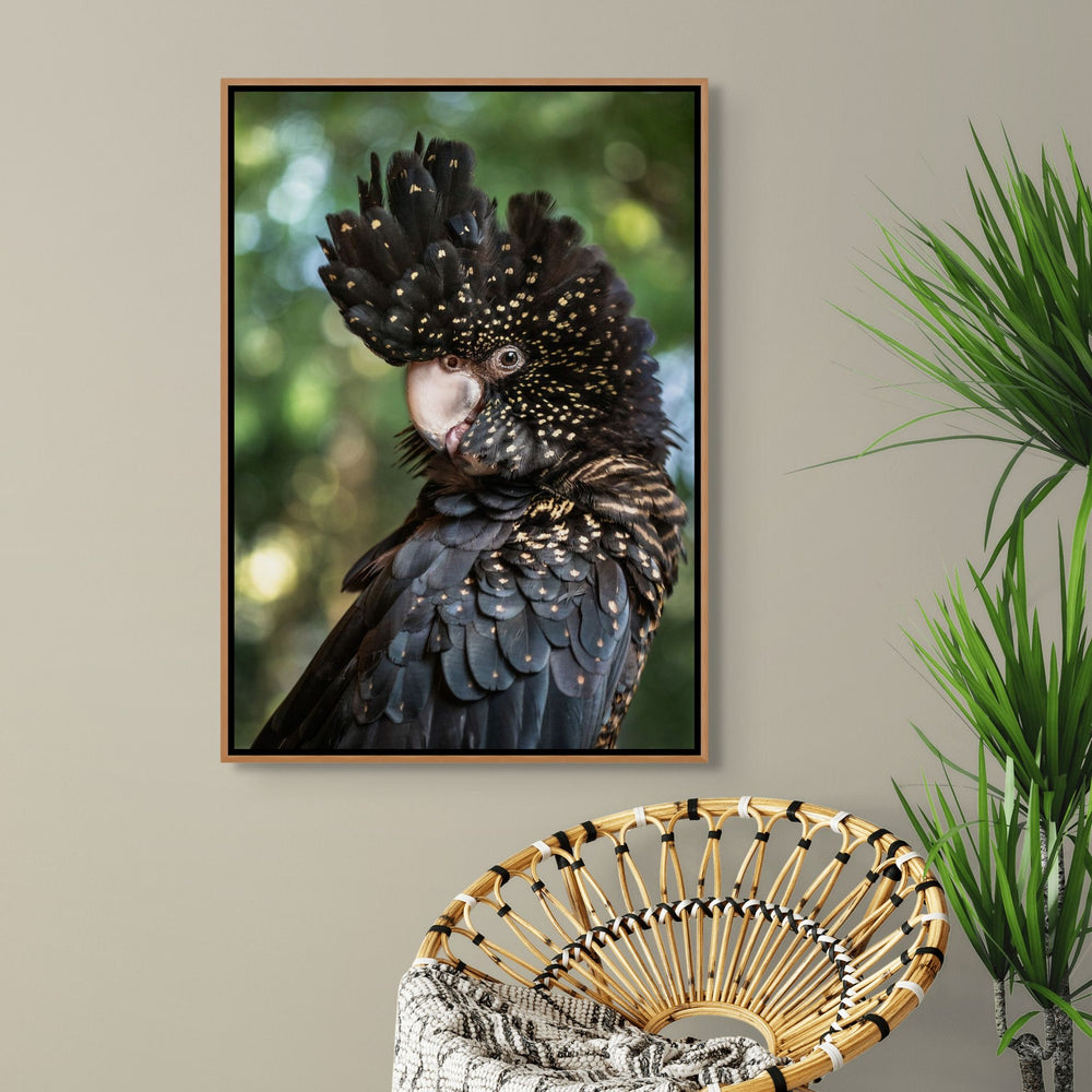 Yindi – Female red-tailed black cockatoo with yellow spots perched against a green background | Shadow Box Canvas Print