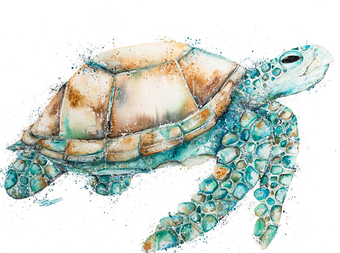 You’re Still With Me In My Dreams by Stephanie Elizabeth – unframed rolled paper print of green turtle, fine art marine life print